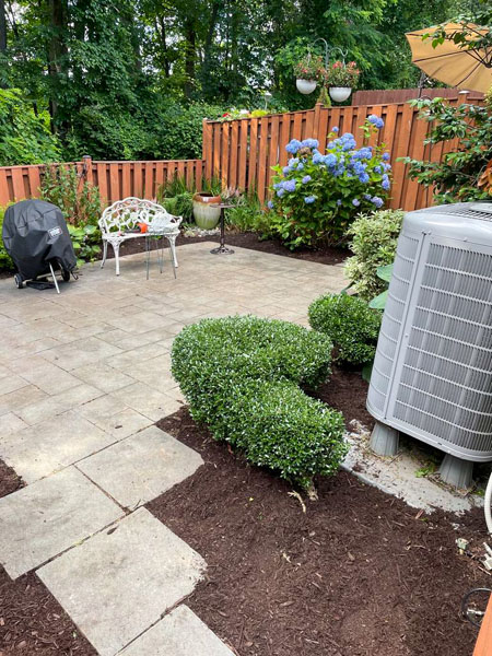 backyard landscaping after cleanup