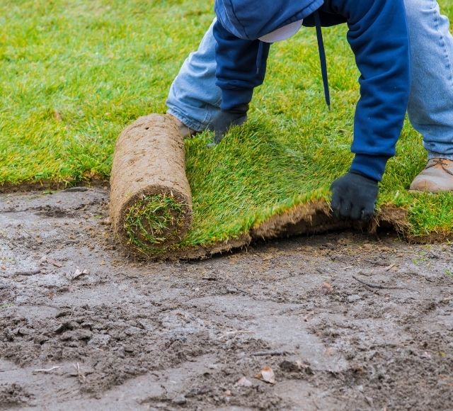 Installing Sod in DC