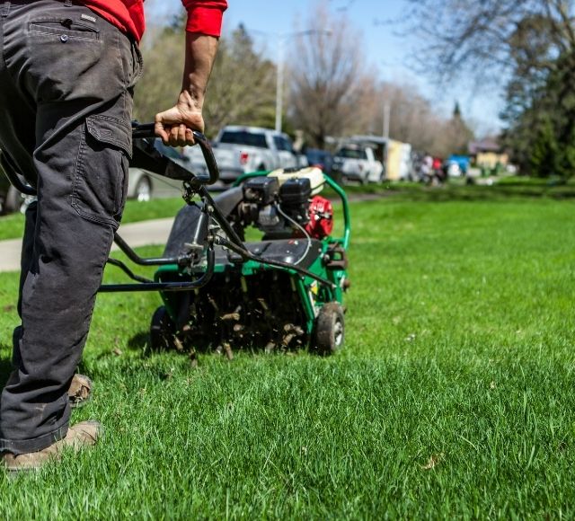 Lawn Aerating Service