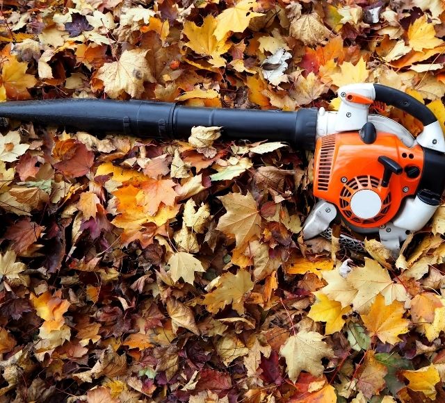 Leaf Removal Near Me