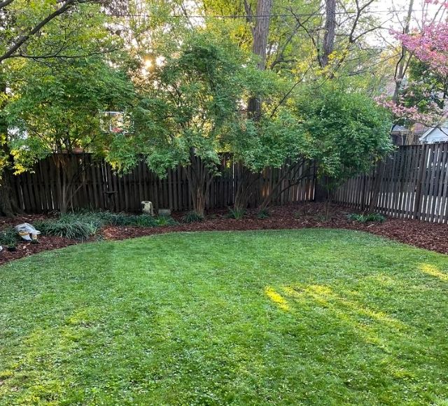 Professionally Landscaped Backyard in DC